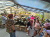 burja14_13