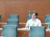 parlament4